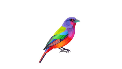 Fototapeta premium Vibrant Colorful Bird Illustration - Painted Bunting Style Vector Art on White Background