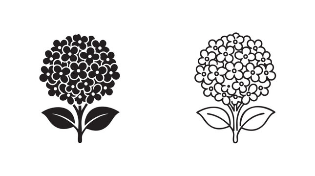 hydrangea black silhouette with line art vector illustration