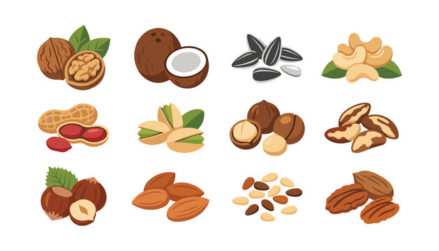 Nuts and seeds vector icon set with almond walnut peanut pistachio cashew coconut and hazelnut isolated on white background