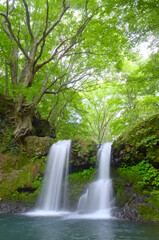 山梨県忍野村にある鐘山の滝 © ATbonobo