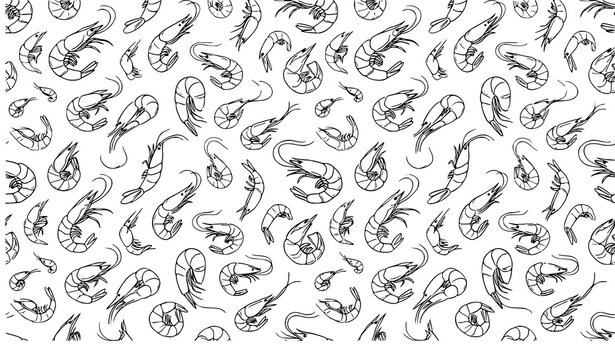 Organic Shrimp Seafood Seamless Outline Vector Pattern