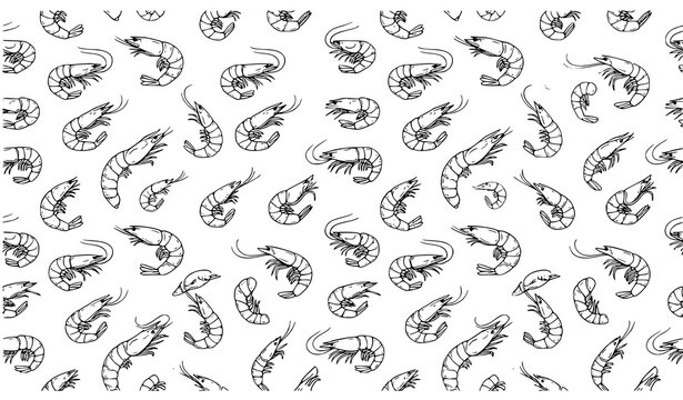 Hand Drawn Shrimp Seamless Pattern Seafood Vector Design