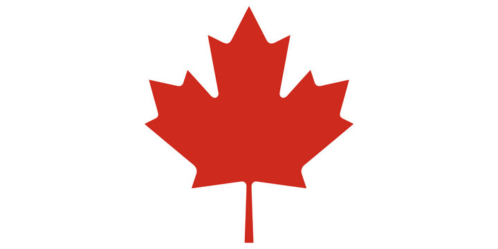 Red maple leaf symbol vector illustration
