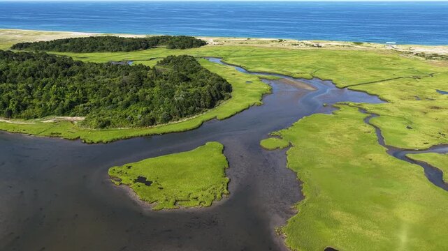 An extensive salt marsh inside Pleasant Bay, Cape Cod, grows right up to the edge of the Atlantic Ocean. Marshes provide critical habitat for many birds, fish, and marine invertebrates.