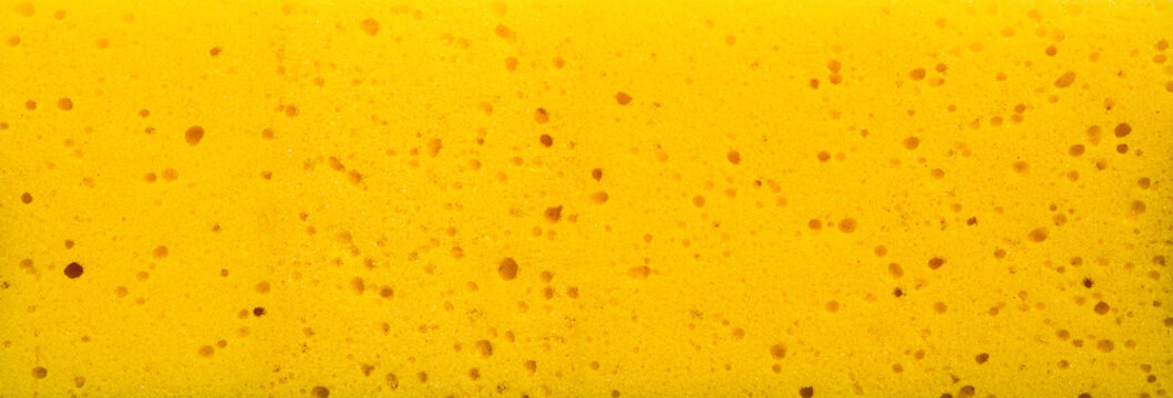 Yellow synthetic sponge macro texture panoramic background