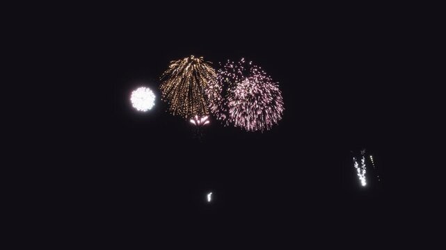 3D Render A continuous video showcasing a single heart-shaped firework rising and spreading in vibrant colors over a black sky