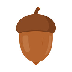 A single brown acorn with a cap on a white background. © Erik