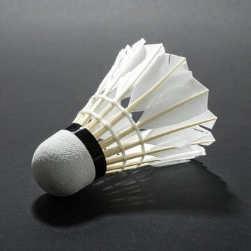 Feathered shuttlecock with white skirt and cork base on dark background