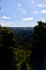 Obraz premium Tropical forest valley and distant hills in eastern Australia