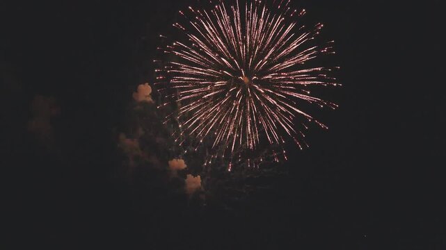暗闇を割って高く上がり夜空いっぱいに大きく開く大輪の単発花火