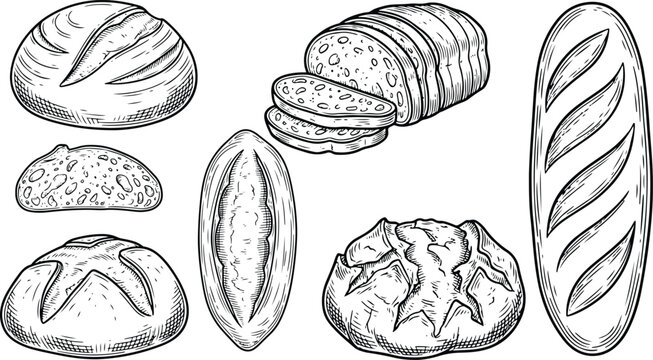Vintage hand drawn bread loaf collection engraving illustration isolated on white background design