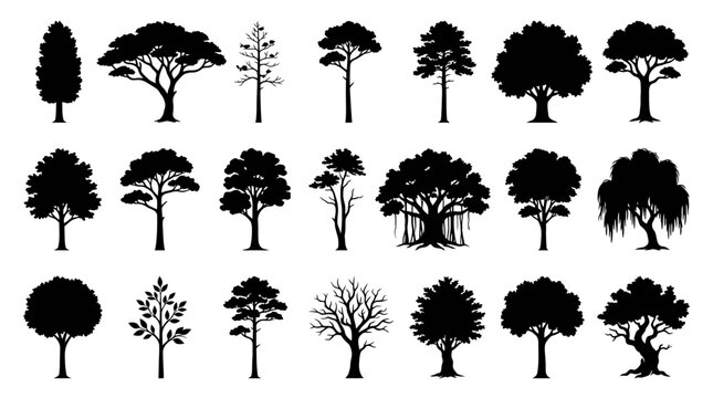 Diverse collection of silhouette trees illustrating various species and growth patterns for botanical and environmental reference