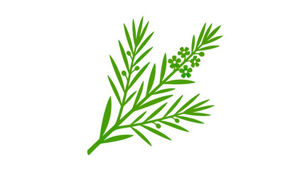 Fototapeta premium Green Branch with Small Flowers and Berries