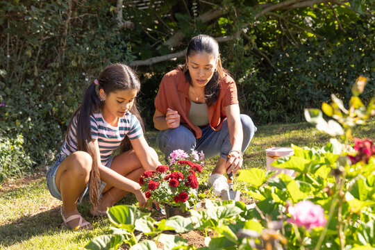 African American mom and teenage daughter kneeling and planting red flowers in garden using trowel