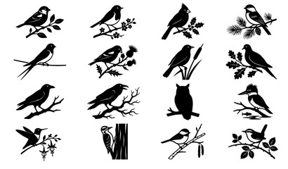 Bird on Branch Silhouette Vector Set with Perched Songbirds Wildlife Tree Branch and Nature Black Illustrations © Mdmain