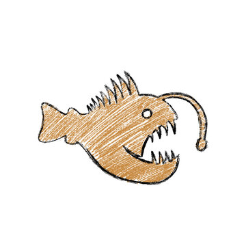 angler fish