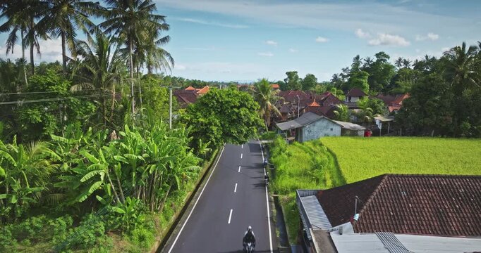 Bali rural village landscape. Drone fly over road passing through green tropical jungle with lush palm trees, banana plants, traditional houses and vibrant rice paddies under a bright sky. Indonesia