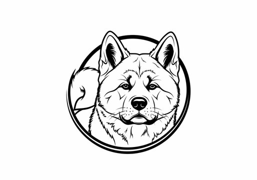 Guardian's Gaze