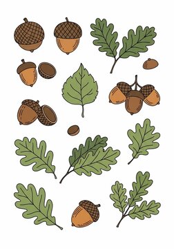 Whispers of Autumn's Harvest