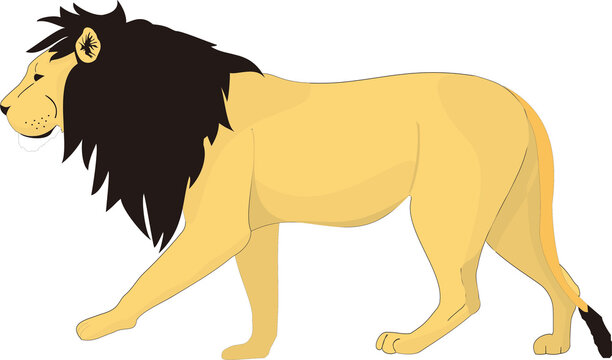 Side profile vector illustration of a lion isolated on white.
