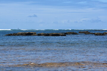 Naklejka premium praia do forte - bahia