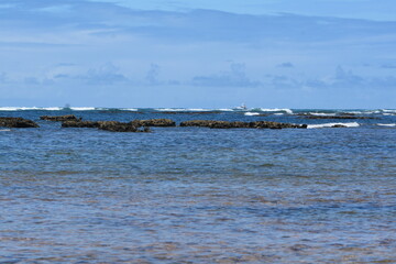 Fototapeta premium praia do forte - bahia