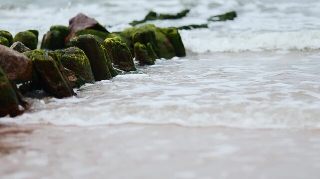 Wooden groyne and protective rocks on sandy beach. Seascape with breakwater extending into stormy sea. Erosion control structure on coastline. Natural scenery for travel concept.
