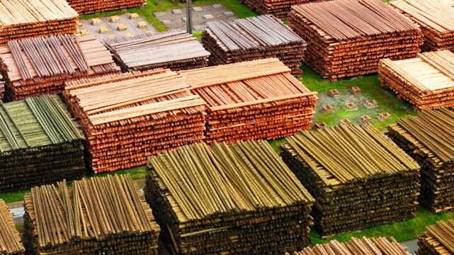 Large timber reserves illustrate renewable forest resources responsible forestry