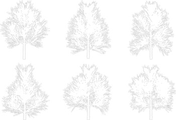 Set of six stylized coniferous pine trees isolated on transparent background for architectural landscape design projects © NT VIDEO