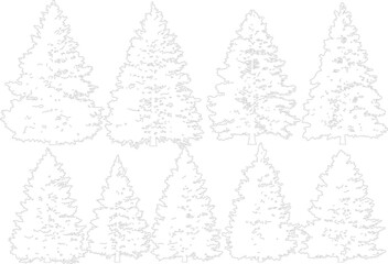 Set of ten mixed coniferous tree silhouettes isolated on transparent background for forest landscape planning © NT VIDEO