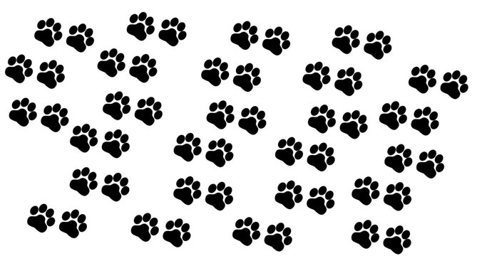 Bunny wet or mud pawprints. Rabbit paw silhouettes stamps. Trace of steps of running or walking hare isolated on white background. Vector