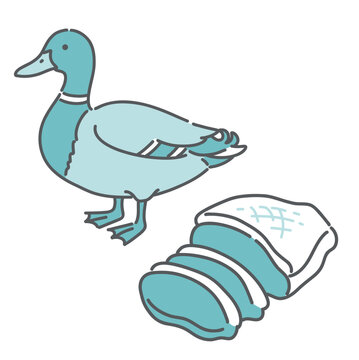 鴨と鴨肉（精肉）のセットイラスト