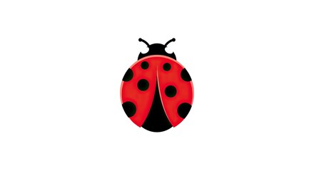 Fototapeta premium Vibrant red ladybug illustration isolated on white background for design