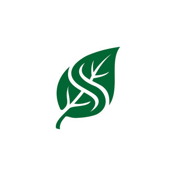 logo green leaf icon