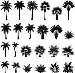 Fototapeta premium Tropical palm tree silhouette set collection featuring various coconut fan exotic foliage plants isolated on white background for summer vacation design vector illustration