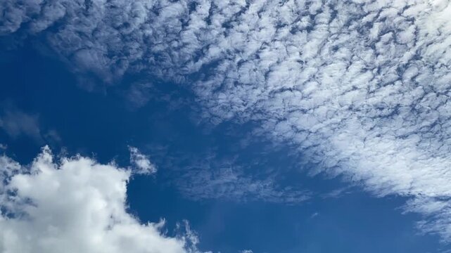 the soft and dramatic movement of white, blocky clouds (cumulus) in a clear blue sky. Natural sunlight gives a fresh, calm and natural impression,