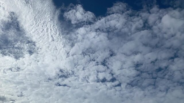 The beauty of the movement of small, puffy white clouds (altocumulus) drifting dynamically across a clear blue sky.