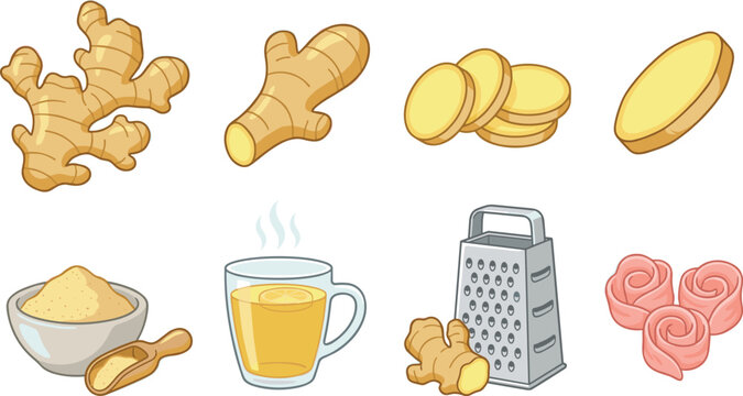 Fresh Ginger Root Vector Icon Set Featuring Whole Rhizome Slices Powder Bowl Tea Mug Grater and Pickled Gari Flowers for Culinary and Wellness Designs