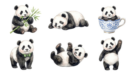 Naklejka premium Cute giant panda bear watercolor clipart set eating bamboo, sleeping, sitting in teacup, and waving