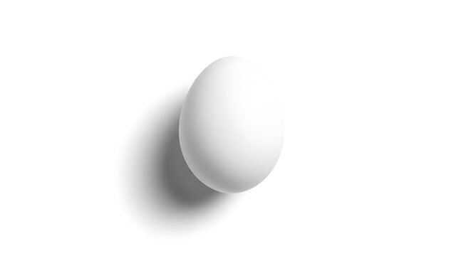 Single White Egg Casting Shadow on Clean White Background, Minimalist Food Photography