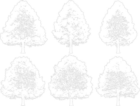 Set of deciduous broadleaf trees with detailed foliage patterns isolated on transparent background for designers