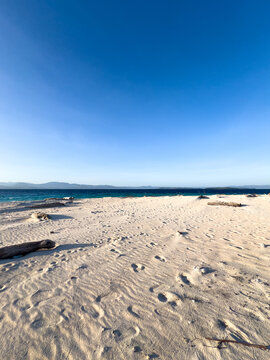 Sandy Beach With Driftwood Under Clear Blue Sky