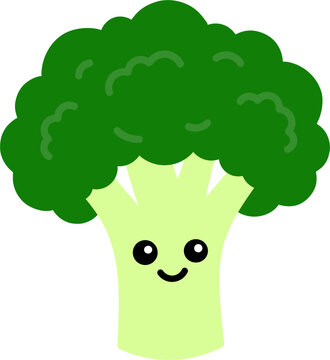 Cute smiling green broccoli vector illustration with a light green stalk