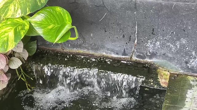 Small waterfall flowing into a stone pond, with a green pothos leaf hanging above the stream.