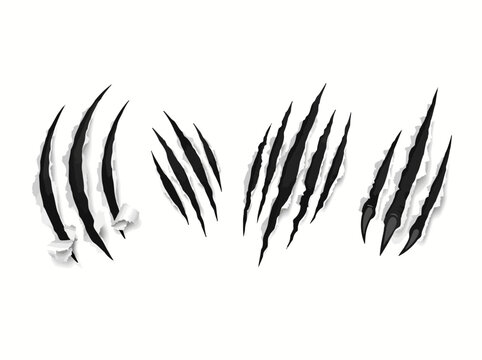 Beast claw slashes on ripped paper. Sharp animal scratch marks and torn paper vector set.