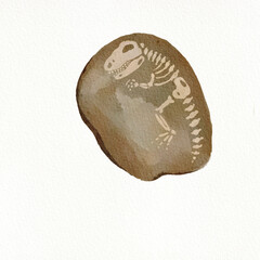 Cute T-rex fossil watercolor illustration clipart © Lavita