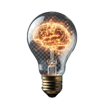 Glowing brain inside a glass light bulb showing creative idea isolated on transparent background