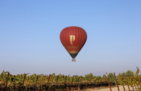 Temecula, CA USA on October 8, 2022. A hot air balloon with Pechanga Resort Casino logo flying on the sky over a vineyard in Temecula, California.