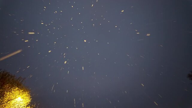 Snow falling against dark night sky illuminated by street lamp. Low angle view, copy space