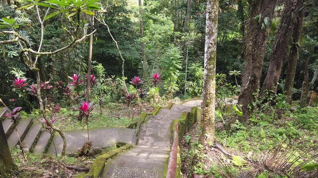 Pan right over mossy stone steps and a lush tropical garden with red cordyline plants at Goa Gajah, Bali, Indonesia.